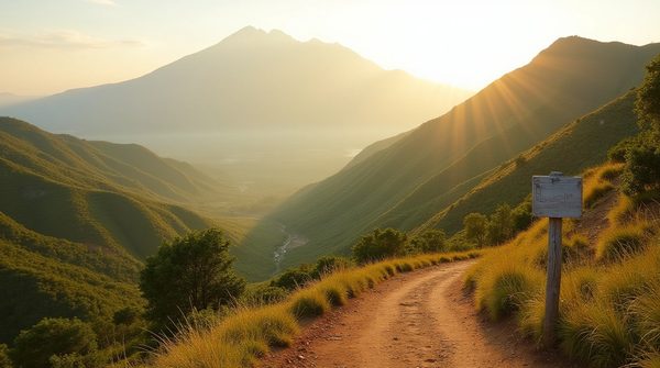 Meilleur esn à madagascar : réussir sa stratégie numérique grâce à l'expertise locale